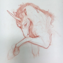 Unicorn Study